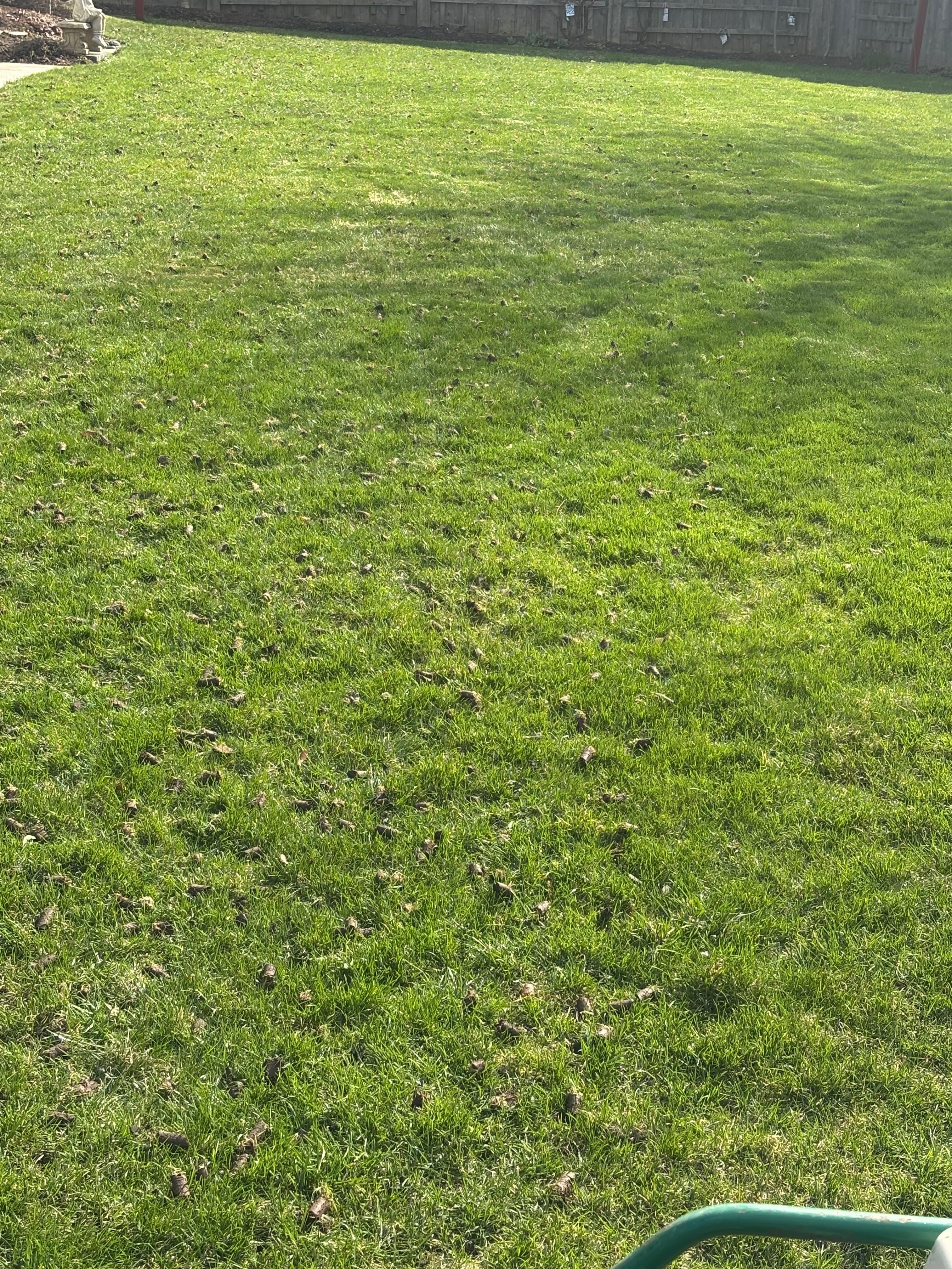 Turf and garden bed maintenance