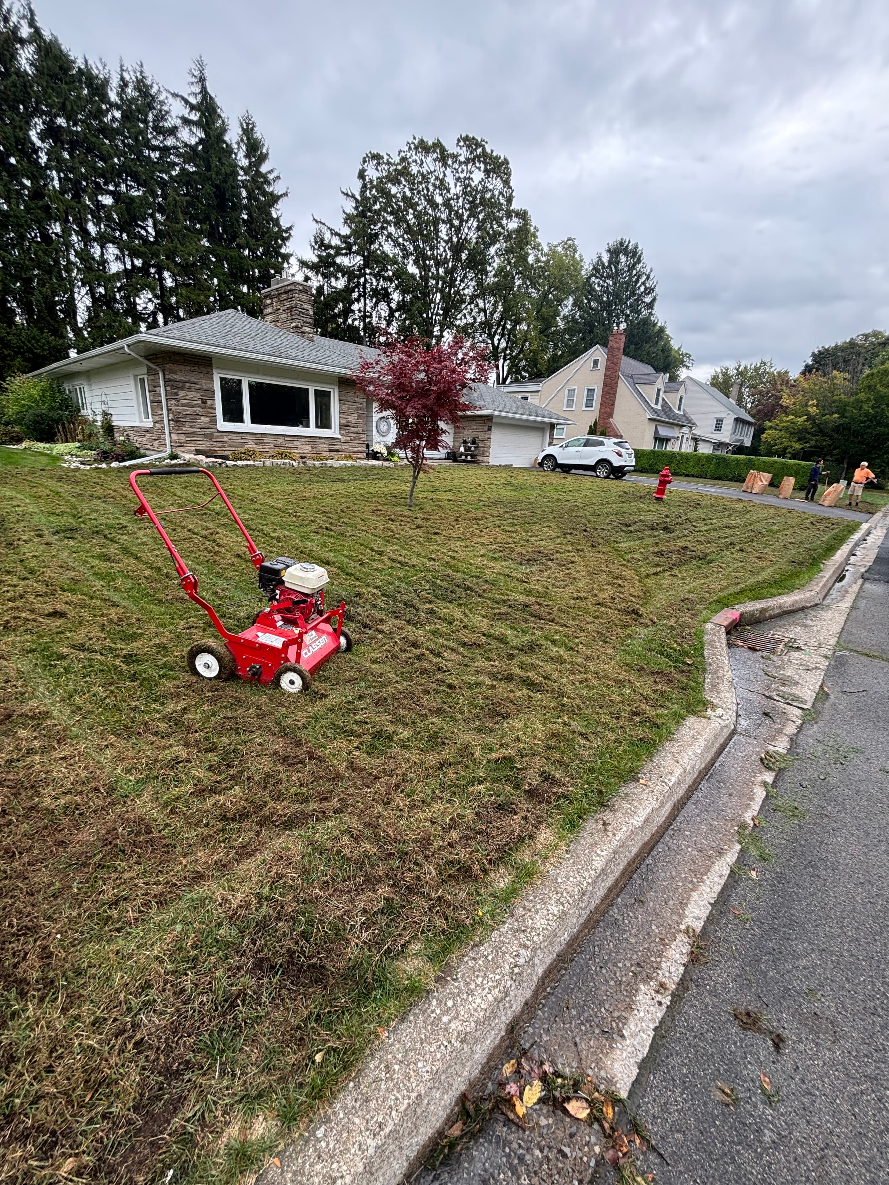 Precision lawn mowing and edging